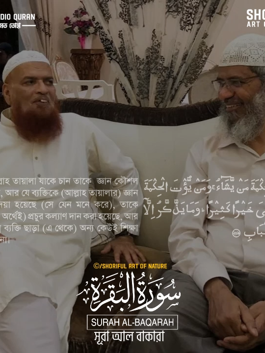 আল্লাহ তায়ালা যাকে চান তাকে জ্ঞান কৌশল দান করেন- সূরা আল বাক্বারাহ ২৬৯ - ২৮৬ #quran #quranurdutranslation #qurantilawat #banglaaudioquran #tiktokislamictalks #foryou
