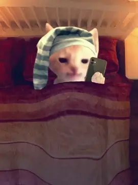 Pov tu dors chez tes potes 💀 Audio: @Karamel #humour #fr #fyp #viral #leclodooriginel 