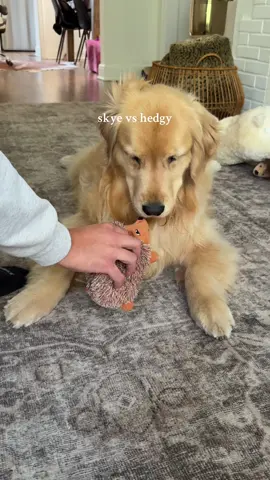 the little lip quiver 😂