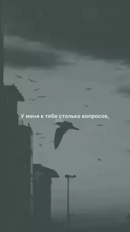 #стихи #поэзия #стихисосмыслом #рек  #poetry  @Zlatentsia Zolotova 