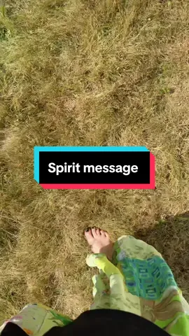 #spiritmessagesforyou #tarotreadingforthecollective #thestarcard #thewheeloffortunetarot #aceofcupstarot 