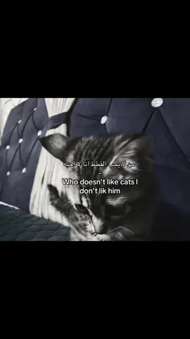 مجرد فكره لن ماعندي افكار👍🏻😭 #بدون_موسيقى #اللهم_صل_على_محمد_وآل_محمد 