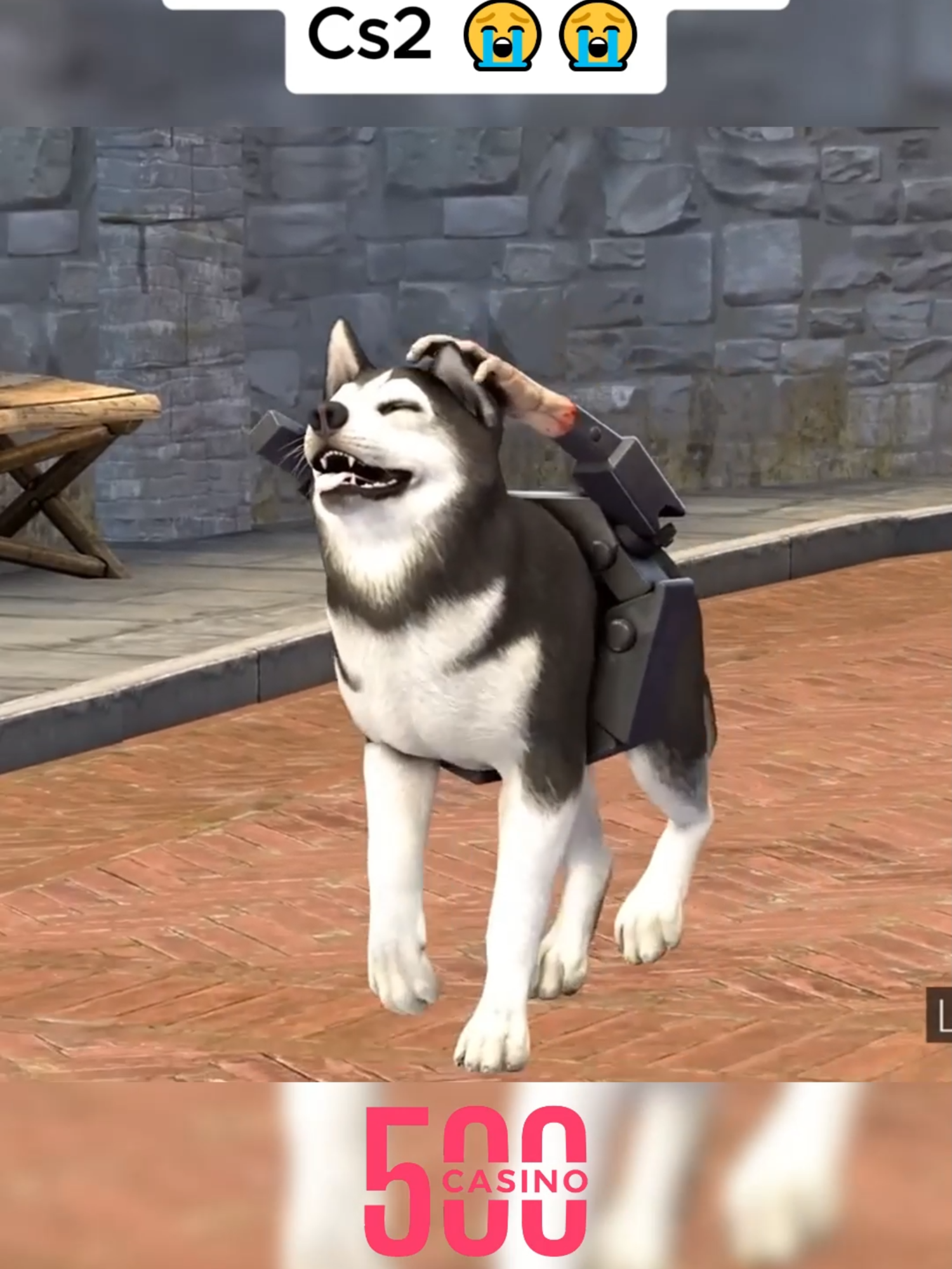 BEST ANIMATION IN CS2 🤣🤣😭 (By Liechtenstein) #csgo #csgofunnymoments #cs2memes #csgofunny#liechtenstein