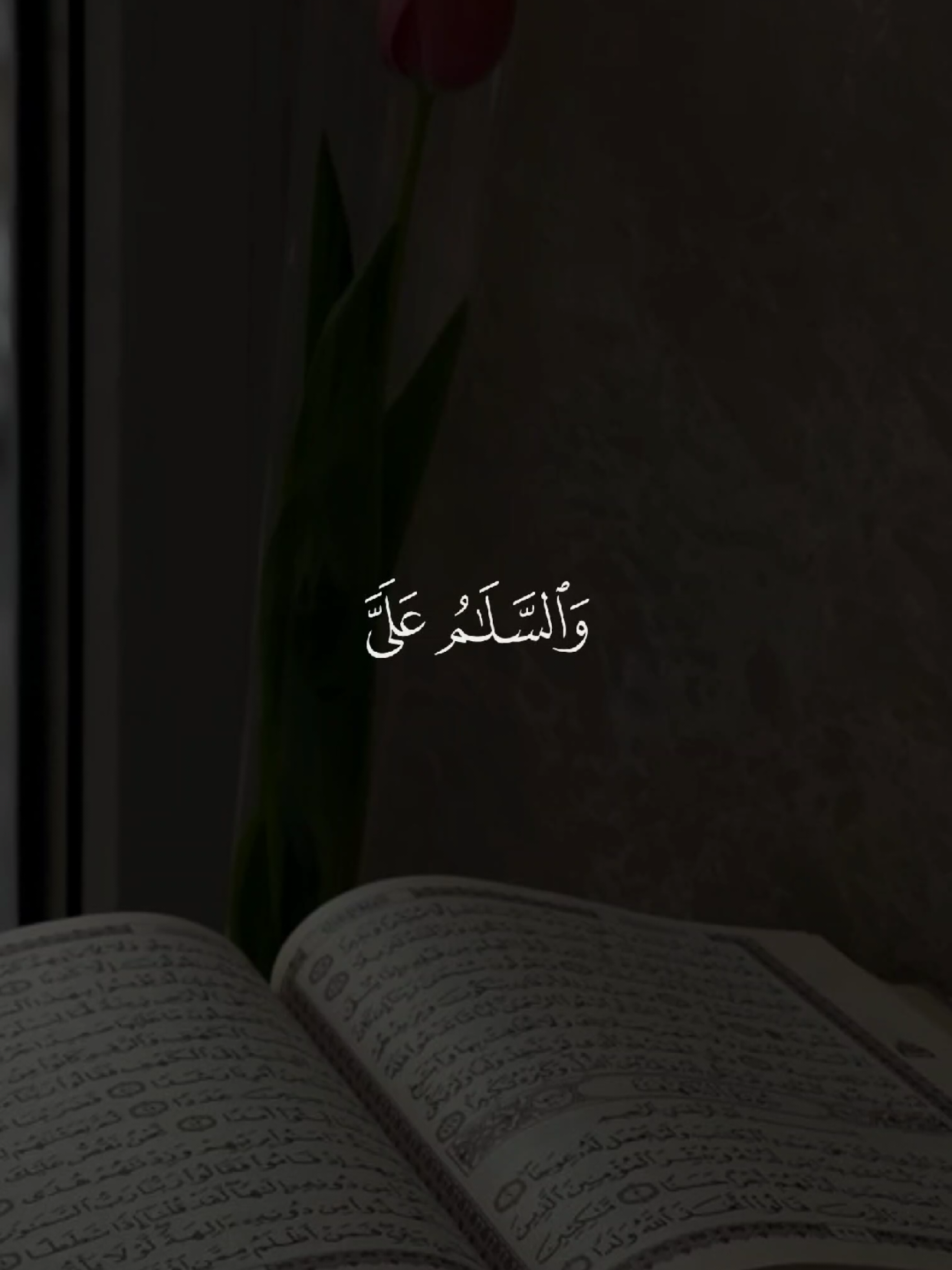#قران #quran #قران_كريم #quran_alkarim #القران_الكريم 