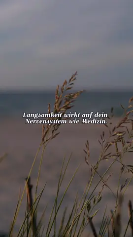 ✅ Folge mir gerne für tägliche Impulse und Inspiration für mehr innere Balance und ein bisschen Licht an dunklen Tagen 🌟 @soulminds3  ✅ Leite das Video unbedingt an eine Person deines Herzens weiter, die das A unbedingt sehen sollte! ✅DM für Credit- oder Entfernungsanfragen (kein Urheberrecht beabsichtigt) ©️Alle Rechte und Credits sind den jeweiligen Eigentümern vorbehalten.  #langsam #achtsamleben #innereruhe #entschleunigen #nervensystem 