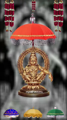 #സ്വാമിയേ_ശരണമയ്യപ്പ #🙏🏿🙏🏿🕉️🖤🙏🏿🧡🔥 #മലയാളം #thamil #അയ്യപ്പഭക്തിഗാനം🙏🏿🖤🙏🏿 