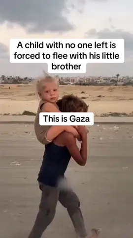غزة 🇵🇸💔#@الاخبار 🌏 #مصر #السعودية #اليمن #امريكا #اكسبلور 