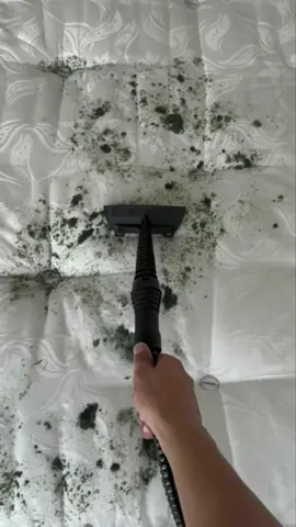 That mattress was NOT okay 😂 x #CleanTok #mumsoftiktok #deepclean #steamclean 
