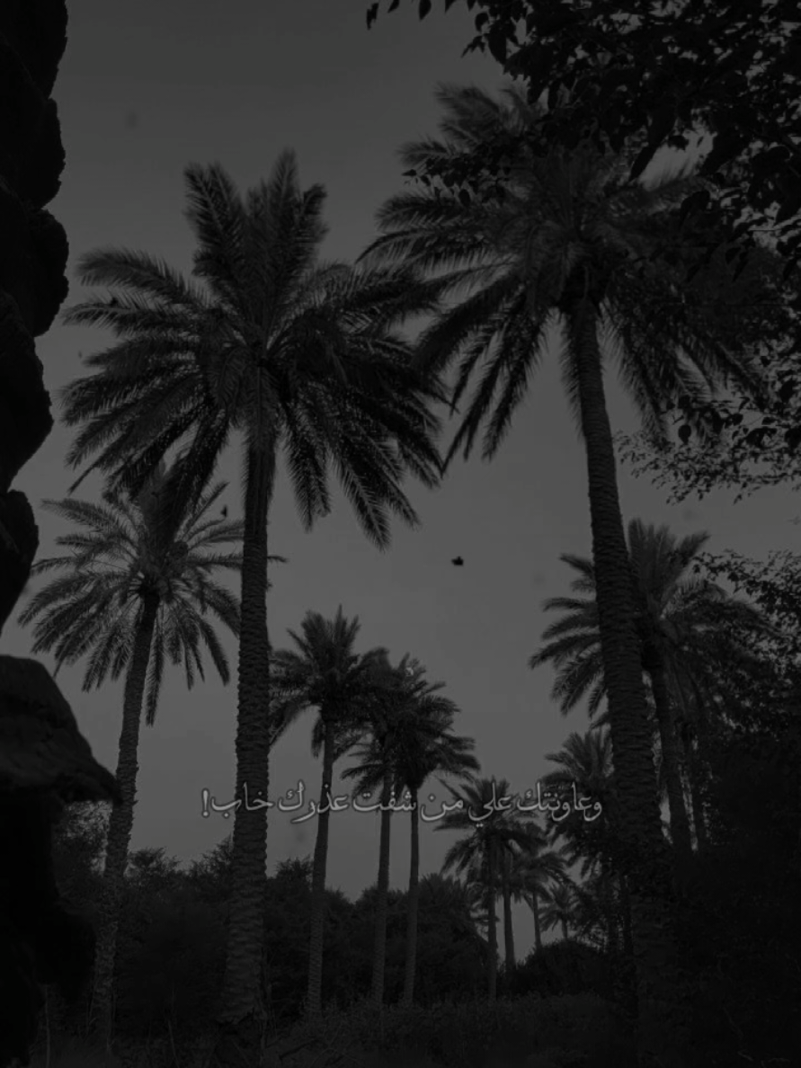 #CapCut #سمير_صبيح❤️ #🖤🖤❤️❤️🖤🖤 #حزينةtiktokحالات😭💯💯💯😭 #سمير_صبيح💔 