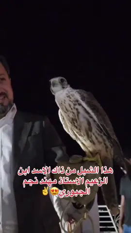 #نجم_الجبوري_خط_احمر🦅🇮🇶 #مهند_نجم_الجبوري #الموصل 