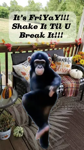 IT’S FRIYAY!!!! Let’s Shake It Well And Then Break It 🤣🤣🤣… Hope U All Have A Great Day & Weekend…  #friyay #shakeit #weekend #besties 
