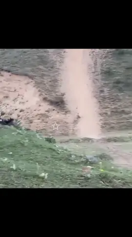 #UFC #islammakhachev 