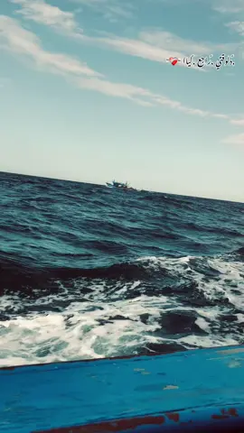 بيت النيل  دلوقتي راجع لياا❤️‍🩹” أمنية🫶”