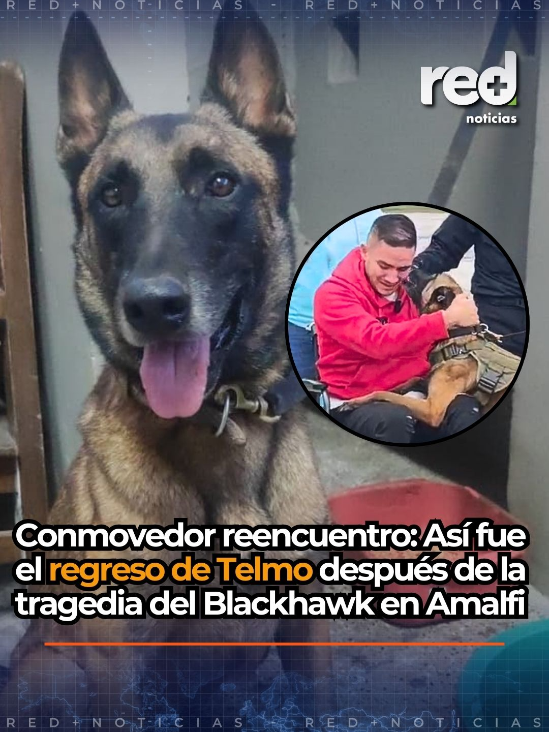#Colombia | Así fue el reencuentro del patrullero Diego Herrera con su perro Telmo. Los dos sobrevivieron al brutal ataque contra helicóptero en Amalfi el pasado 21 de agosto, en el que perdieron la vida 13 policías, entre ellos un binomio de guía canino y su perro Lexter.   En medio del caos, Telmo se perdió, duró 25 días extraviado. Después se supo que la  guerrilla autora del ataque a la aeronave lo tenía en su poder. Hace cinco días, en el municipio de Anorí, Antioquia, los subversivos le entregaron el perro a un campesino que iba en una carreta.  El día de los hechos, el helicóptero, que tenía un blindaje extremo, quedó totalmente desintegrado. Sin embargo, Telmo y el patrullero Herrera lograron sobrevivir al fuerte impacto.  Hoy, Herrera y Telmo finalmente se reencontraron, después de que el patrullero creyera que su compañero de cuatro patas había caído en el ataque.