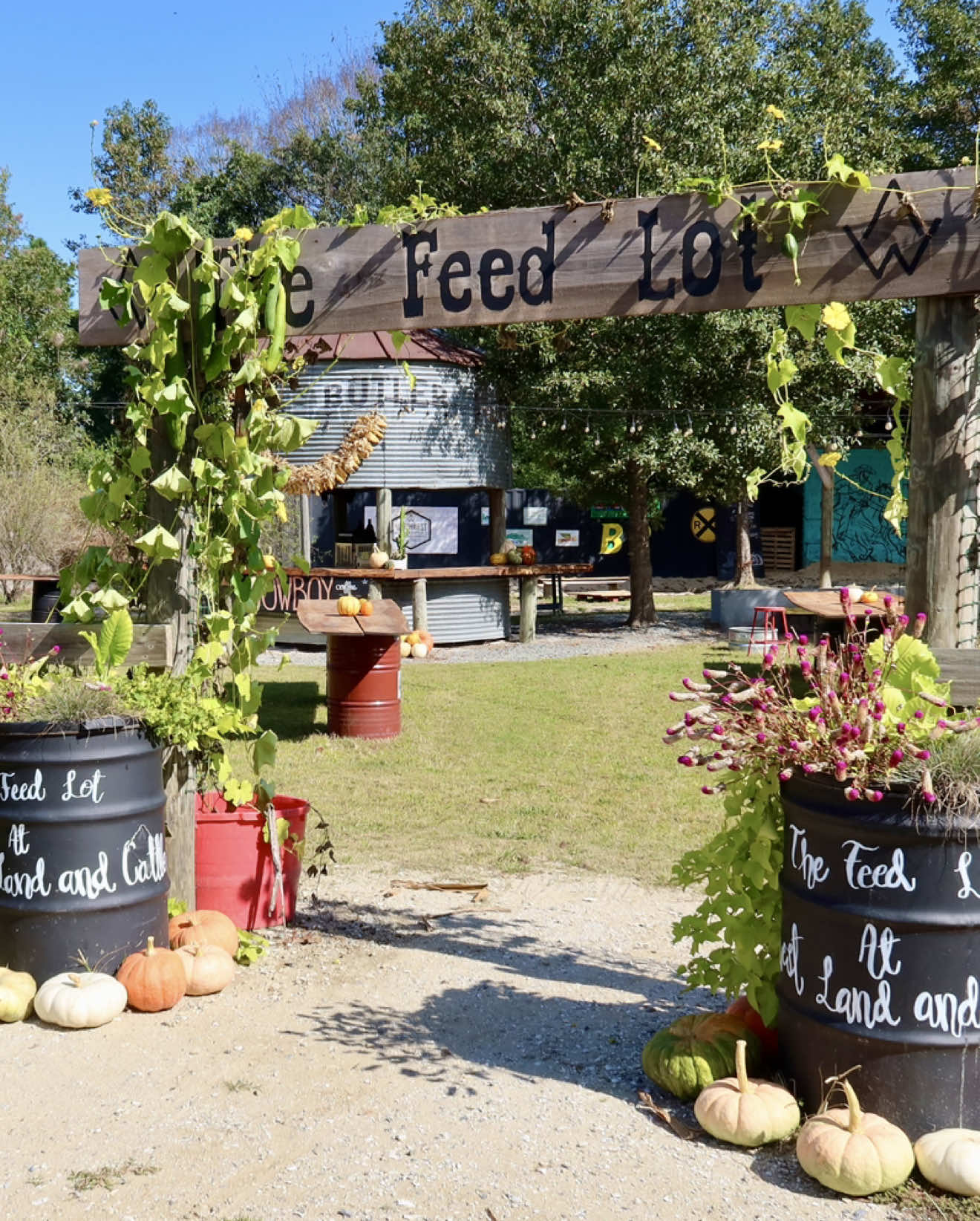 Saddle up, it’s pumpkin season! Our soft opening weekend is here at Northwest Land & Cattle. 📍5014 Northwest Rd, Leland, NC 🕒 Sat 9–5 & Sun 10–4 🎟 FREE ENTRY What you need to know:  🧒 Over 10+ kid-friendly activities including: • Saddle swings • Tire mountain • Sand pits • NWL&C coloring sheets & scavenger hunt • Farm games & more! 📸 Several of Western + fall-themed photo ops including our new pumpkin arch 🥤 Fall drinks from the Grain Bin Bar like apple slushies + cold brew 🍦 Classic fall treats + hand-dipped ice cream at the Chuck Wagon 🌾 Mums, hay bales, corn stalks, and garland for sale 🥩 The Pack House is open with fresh meats + produce 📄 Important: Each party will need to sign a waiver before entering the patch. Save time and do it on NorthwestLandandCattle.com or we’ll have forms ready at the gate! Live music and local vendors will begin next weekend, September 27 and 28 🐶 Pet friendly (must be on a leash at all times) 📲 Share with friends and let them know where you’ll be this fall! #ncpumpkinpatch #ncfarm #lelandnc #brunswickcountync 