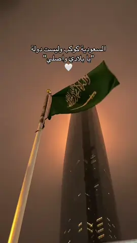 دام عزك يا وطن 🫡🇸🇦#اليوم_الوطني_السعودي_95 #السعودية_العظمى🇸🇦 #اكسبلور #95 #🇸🇦 