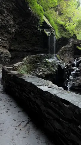 📍 Watkins glen state park, 6:35am hiking#nature#newyork#view #explore #trail 