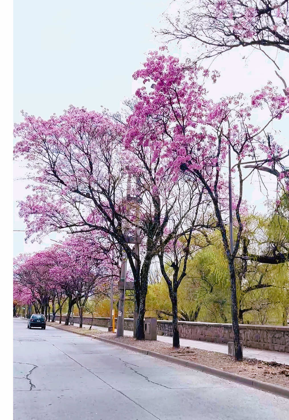 Capital de la alegría y de la vida 💖💖 #jujuy🌵 💞