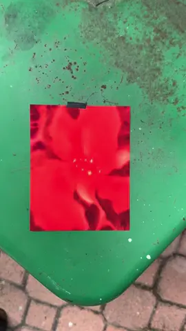 most popular print- true bloom ✨ #artistsoftiktok #colortheory #wallart #flowerarrangement 