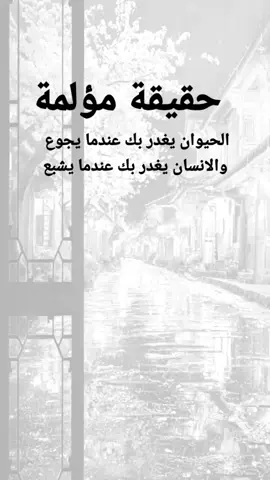 #مقتبسات من الحياة. حقيقة مؤلمة : الحيوان يغدر بك عندما يجوع والانسان يغدر بك عندما يشبع#كلمات_من_القلب #اكسبلورexplore #ypシ 