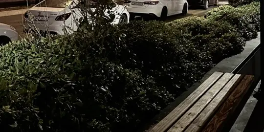 تريد اذكر لونسيت 💔#تصميم_فيديوهات🎶🎤🎬 #لوجين 