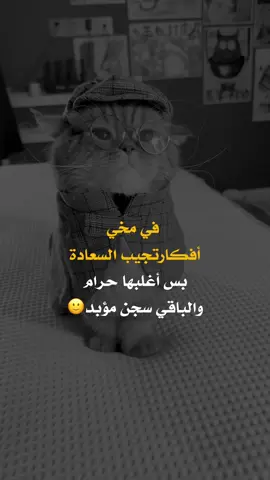 في مخي #عبارات_جميلة_وقويه😉🖤 #fyp #you #أعادة_نشر🔃 #اكسبلورexplore 