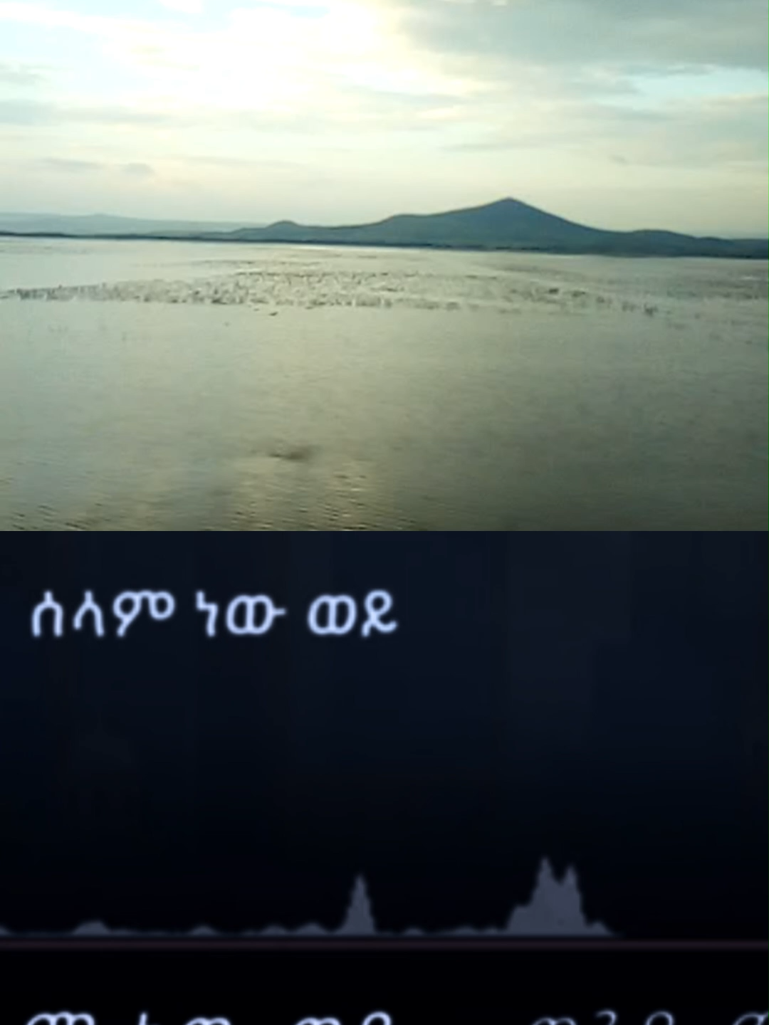 Wendi Mak - 'ሰላም ነው ወይ?' | ወንዲ ማክ - 'Selam New Wey?' -New Ethiopian Music 2025(Official Lyric Video) #fikeraddisnekatibeb💚💛❤️ #ጎጃም💚💛❤ሸዋ💚💛❤ጎንደር💚💛❤ወሎ💚💛❤አንድ #ጎንደር💚ጎጃም💛ወሎ❤ሸዋ #ጎጃም_ጎንደር_ወሎ_ሸዋ❤️❤️ #ethiopianewstoday #viraltiktok #viral #viralvideos