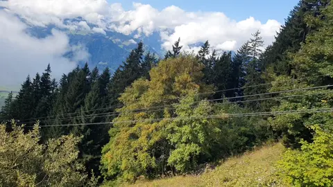 Älplibahn Malans goes green! Solar power + 🔋 Battery storage + ♻️ Efficient heating =Clean rides to the Alps & sustainable dining at the top station  #RenewableEnergy #CableCar #Switzerland #Alps #Sustainability #SolarPower #GreenTourism