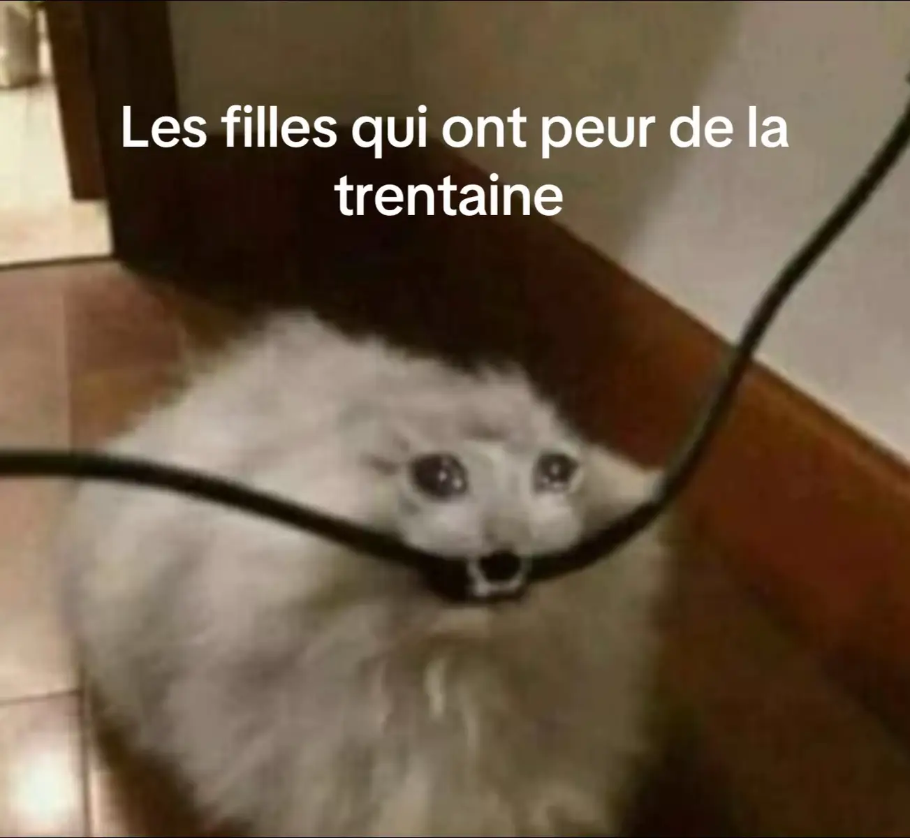 #pourtoi #pourtoiiii #pourtoiiiiiiiiiiiiiiiii #fyp