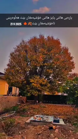 #foryoupage #foryoupageofficiall #پاییز🍂🍁 