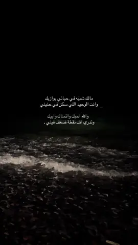 مالك شبيه في عيوني يوازيك والله احبك واتمناك وابيك   .#you #fyp #foryou #اكسبلورexplore 