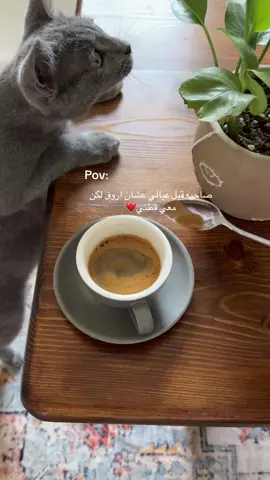 #explore #ترند #مالي_خلق_احط_هاشتاق #اكسبلورexplore 