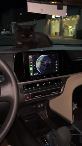 ماشاء الله 🖤🥺                                       #اكسبلور #طارق🍫 #عايض #foryou #pyf 