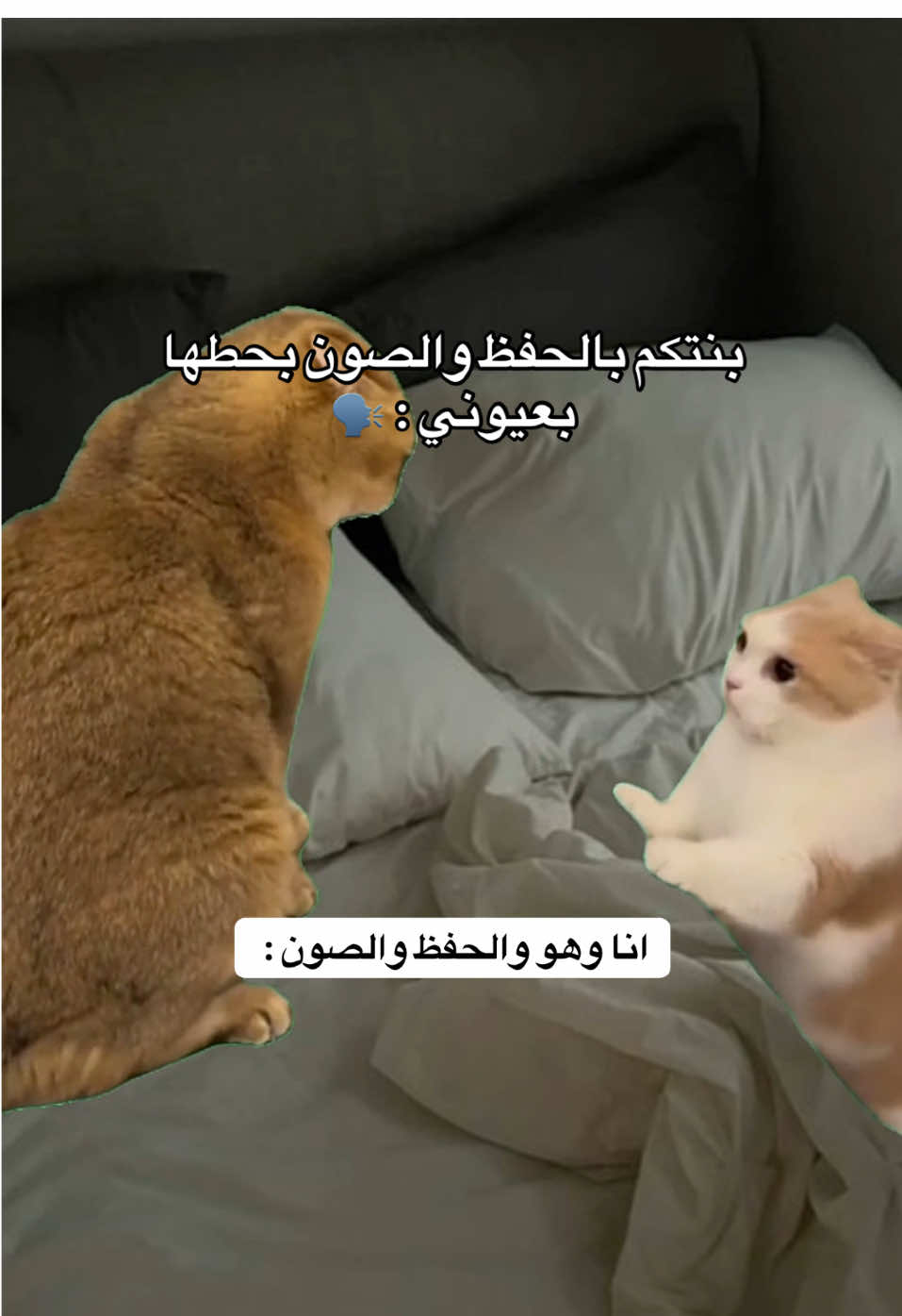 😂
ً
ً
ً
ً
ً #ميمز #ضحك #رياكشن #fyppppppppppppppppppppppp #الشعب_الصيني_ماله_حل😂😂 