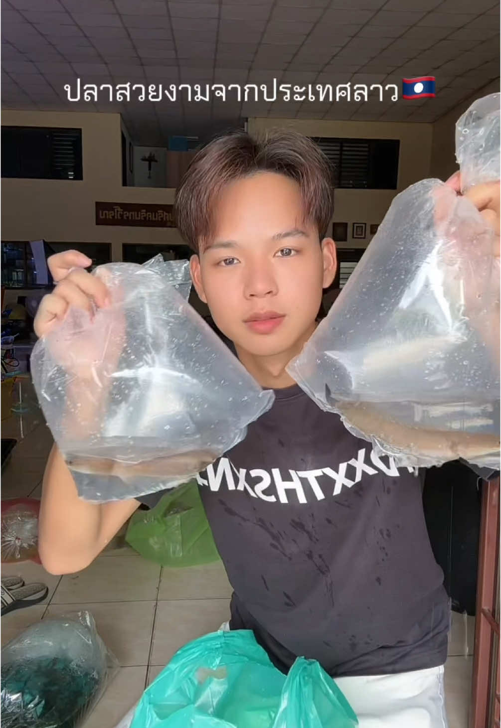 ปลาก๊วนลาว🇱🇦🐠 #ปลาก๊วนลาว #ปลาก้วนน้ําเงียบ #channa #laos🇱🇦 #ภูมิเถา #ภูมิเถาแทงก์ 