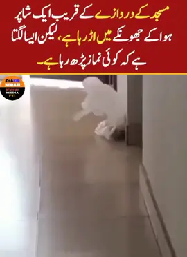 #fypppppppp #subhan #allah #Allah #ka #karishma #please #viral #this #video #thanks👑👑👑🥰🥰🥰 @SAIM 