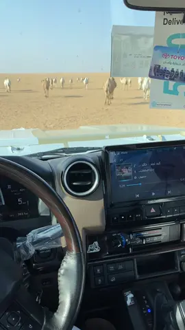 #تصوري📸 #tik_tok #fvpシ #الوضح١ #tik_tok 