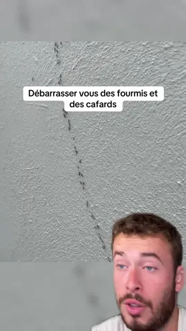 Je vous laisse tester !