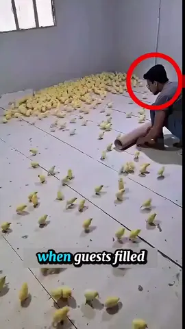 The Night He Won_t Forget😅  #amazing 