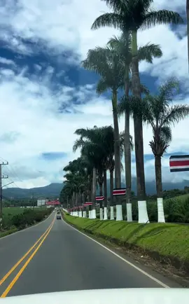 Grecia                                      #recta la cooperativa #palmeras #carreteras 