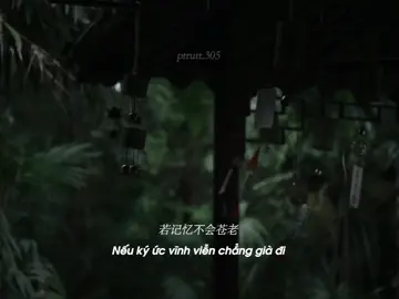 “Nếu có thể gặp lại người, thì trăm vòng luân hồi có hà chi” #ngannam #xh #tiktok #tiktokviral #nhactrung 