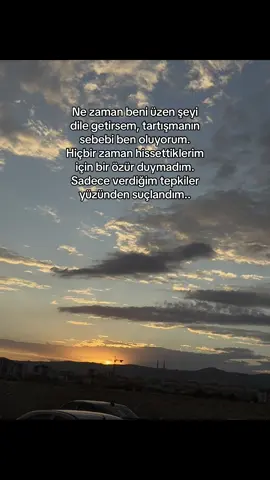 Sen beni hiç bir zaman anlamadın   Sırf tepki gösterdim ses çıkardım diye suçladın bir gün sessiz kaldığımda anlayacaksın beni 