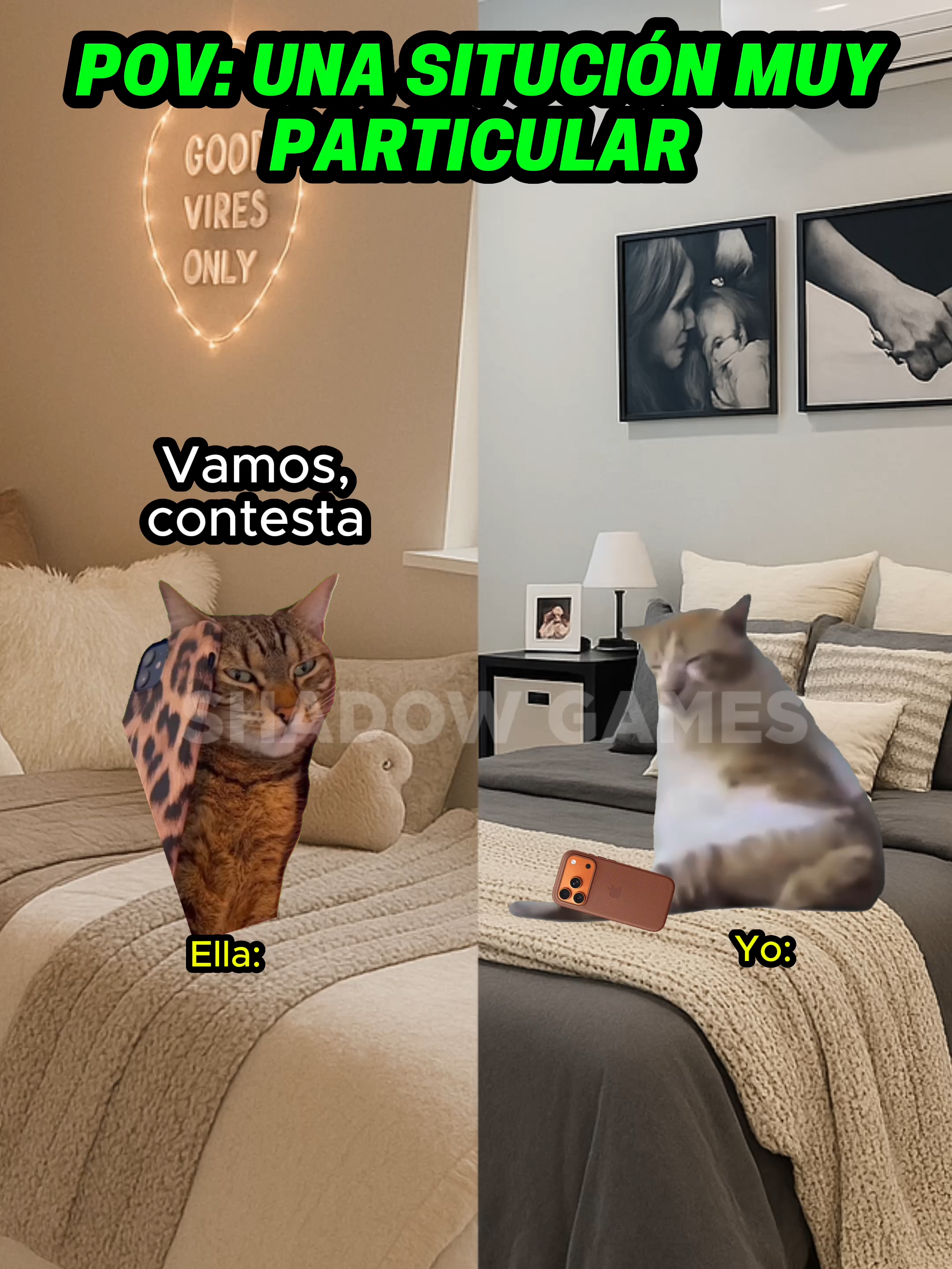 Una situación muy particular #gatitoslindos #storytime