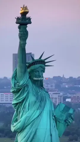 the American dream 🇺🇸🤍 #usa🇺🇸 #us #unitedstates #america #travel 