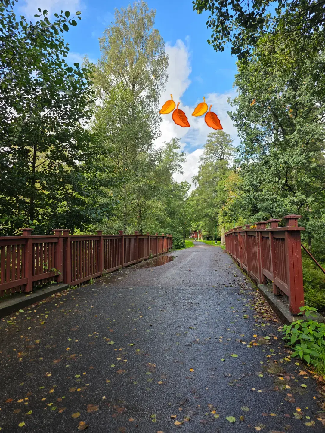 #adnankarim #گورانی_کوردی #foryou #فوريو #kurdishmusic 