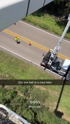Delete the trees. #fyp #arborist #foryourpage #disasterrelief #buckettruck