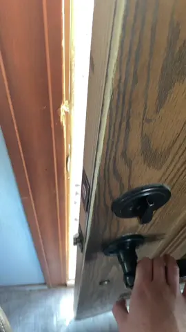 #fyp #fypシ #ticktock #viral #bunny #rabbits #showrabbits #hollandlop #hollandlopbunny #rabbitry #western #goodafternoon #wildernessexplorer #cute #animals 