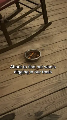 We noticed something was getting into our trash at night so we put up a game camera. I fully expected to see a feral cat or raccoon making the mess. Turns out it was a little puppy coming in the night searching for food 😟 Despite having numerous foster dogs at the moment, I couldn’t let him spend another night in the woods. We baited a dog trap and waited for him to make his rounds.  First the trap malfunctioned and then the game camera malfunctioned. In the end, he’s safe 💜 