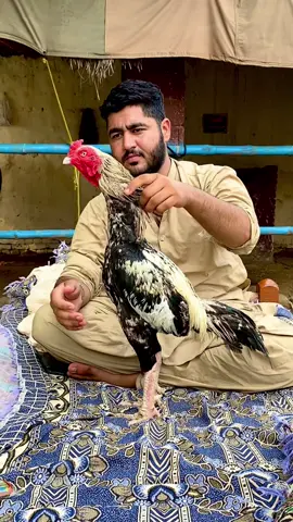 Missing 🇵🇰 #sawaking  #fakhrysikandar1 #ale2807🇵🇰🇬🇧 