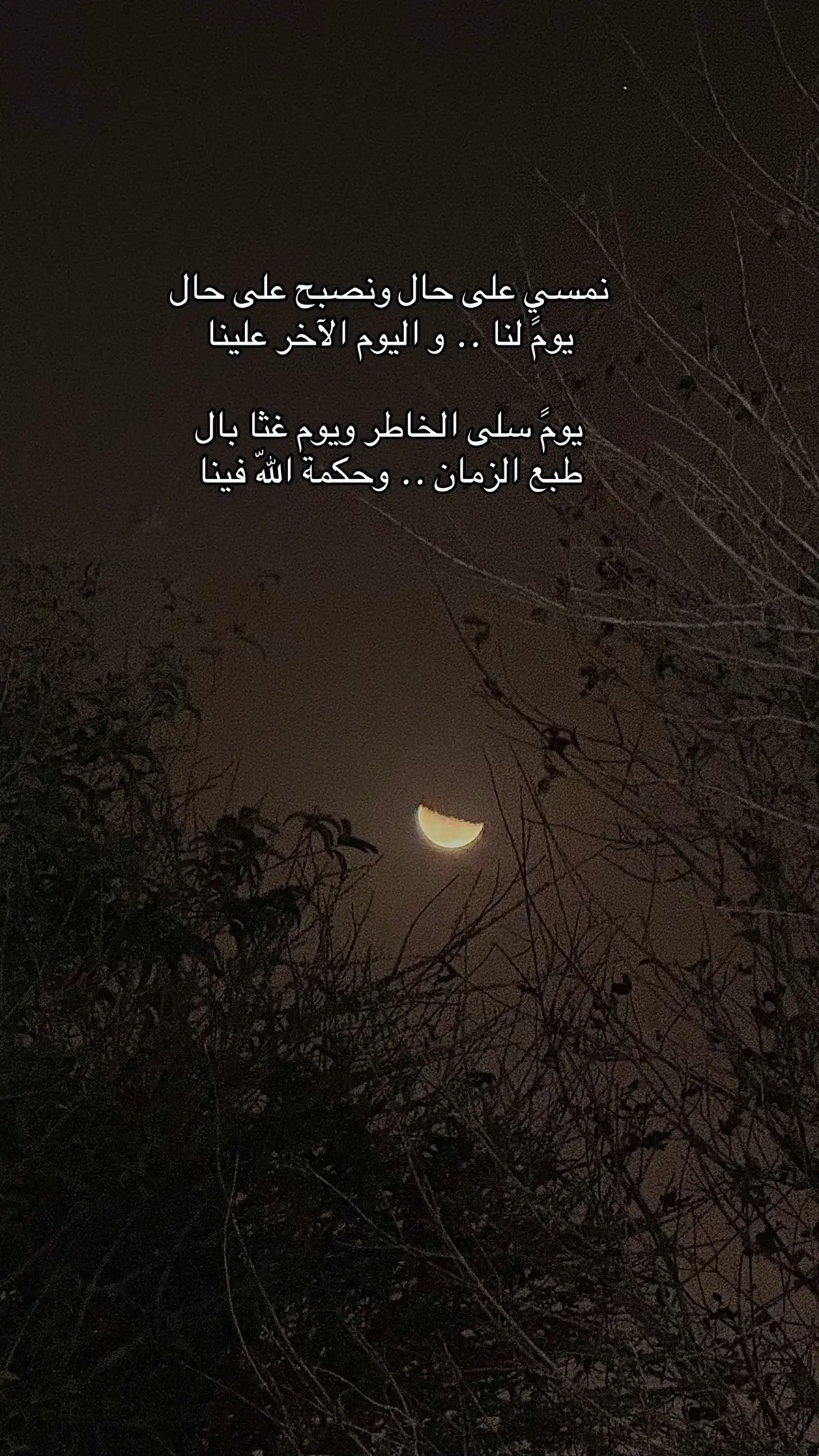#اكسبلورexplore 
